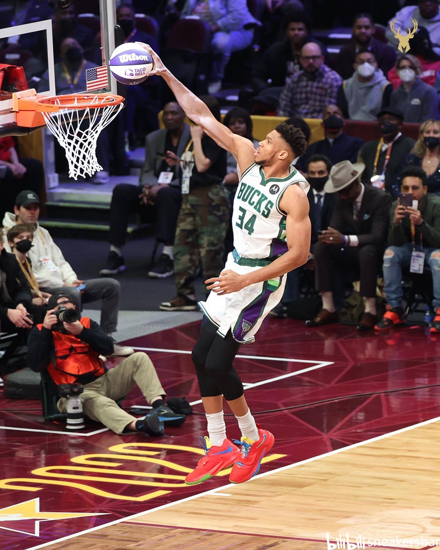 猛龙的团队 猛龙的团队