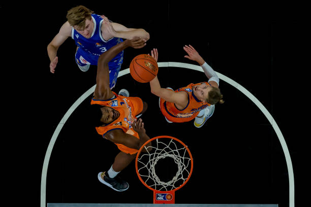 这一独特的 这一独特的